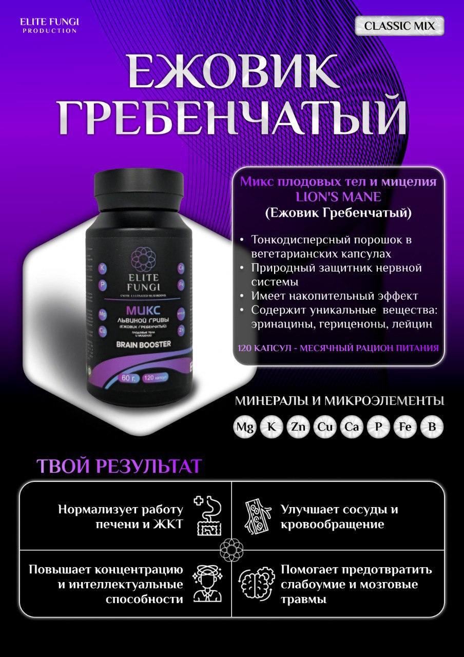 CLASSIC Ежовик Гребенчатый